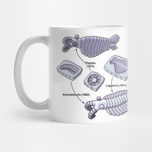 Anomalocaris Fossils Mug